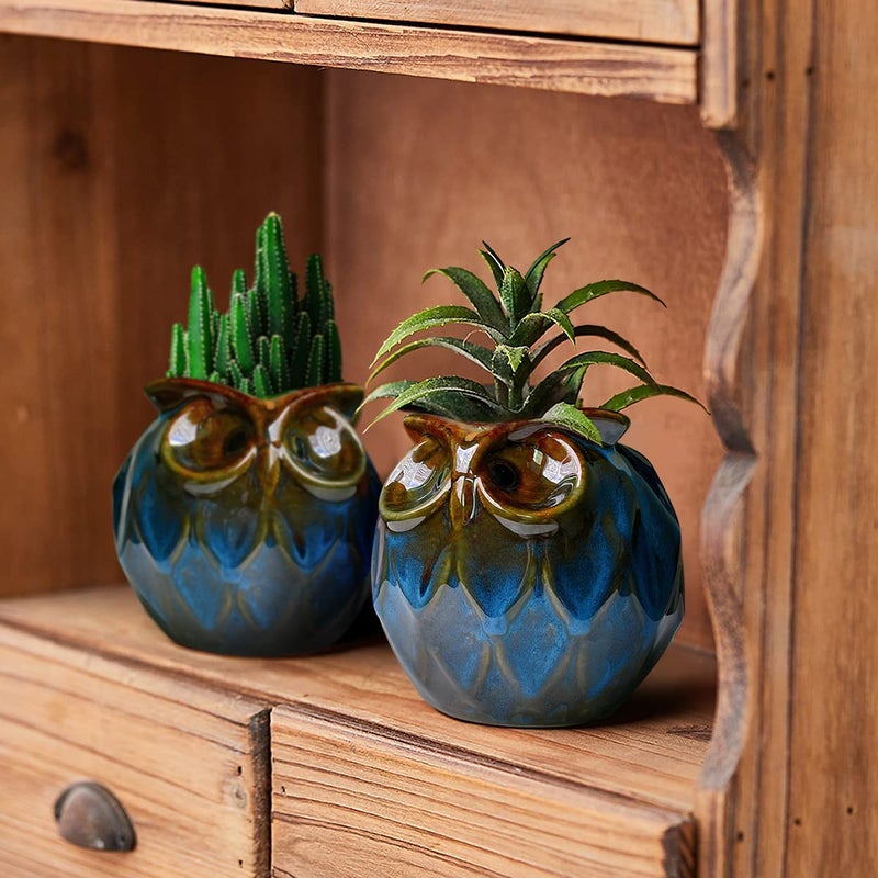 GeLive Blue Owl Ceramic Succulent Planter with Drainage Hole Animal Plant Pot Tabletop Decoration Vase Window Box Indoor Outdoor Decor (Blue) - Image 2